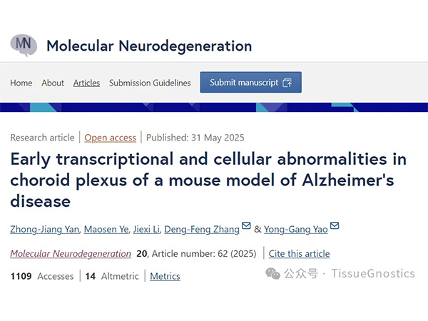 從亞細胞到組織層面：借助Tissue Cyt